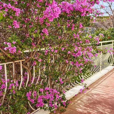 Havre Familial Cosy Avec Terrasse&lumière Appartement