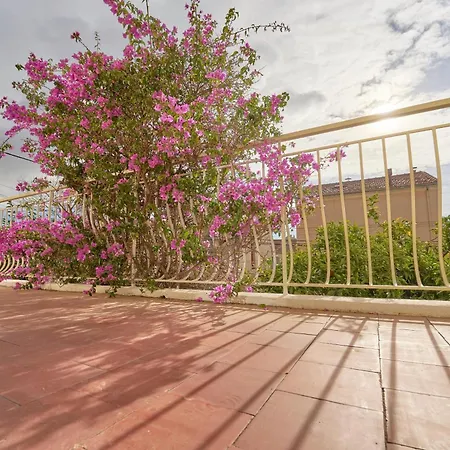 Havre Familial Cosy Avec Terrasse&lumière *