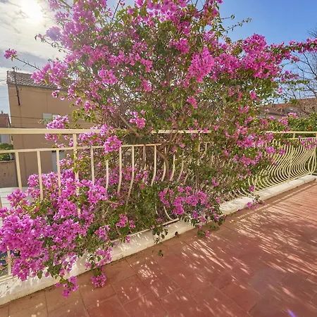 Havre Familial Cosy Avec Terrasse&lumière